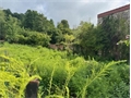 Image du bien UBI483138893